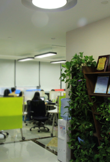 網(wǎng)站建設(shè)